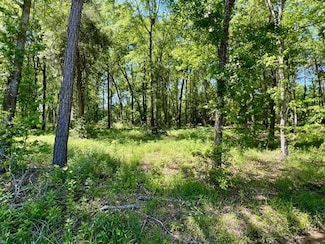 Lot 7 Minnie Lou St, Lufkin, TX 75904