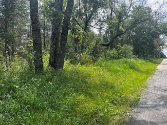 6864 S Nelson Rd, Idlewild, MI 49642