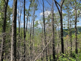 Lot 8 The Falls, Bryson City, NC 28713