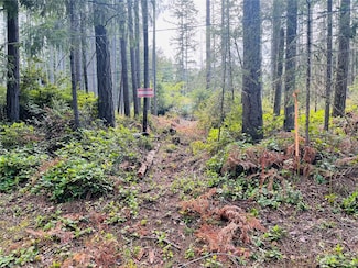 10306 Port Place, Anderson Island, WA 98303