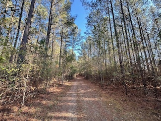 0 Foster Ln, Sylacauga, AL 35150