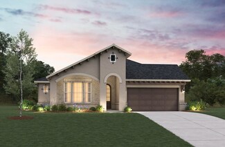 Langston, Todd Mission, TX 77316