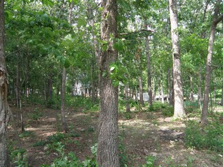 Lt 44 Dickens Cir, Swan Township, MO 65653