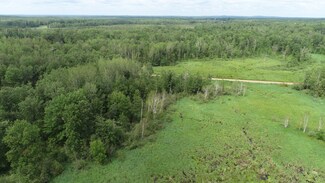 21813 Larson Rd, Perry Lake Township, MN 56441