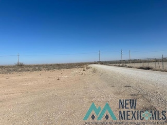 S of 667 Old Cavern Hwy, Carlsbad, NM 88220