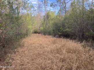 0 Blue Lake Rd Unit 4068621, Perkinston, MS 39573