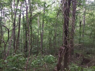 88.10 Payne Cove, South Pittsburg, TN 37380