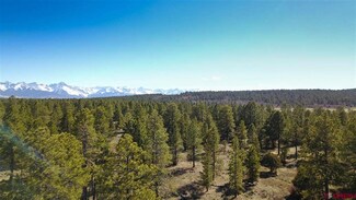 0 Fisher Creek Dr Unit 768339, Ridgway, CO 81432