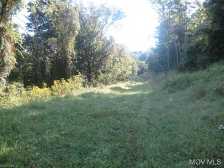 111 Cass Ave, West Union, WV 26456