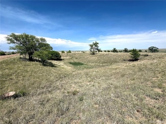 Tract 2 S E Ellicott Rd, Calhan, CO 80808