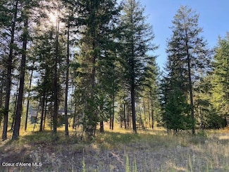 L4B10 N Walden Loop, Rathdrum, ID 83858