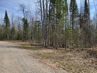 Lot 2 Cth W, Crandon, WI 54520