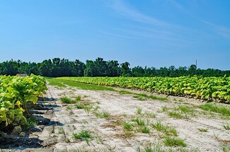 003 Josey Williams Rd, Stewarts Creek, NC 28339