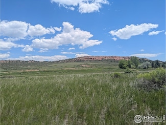 124 Springs Ranch Rd, Laporte, CO 80535
