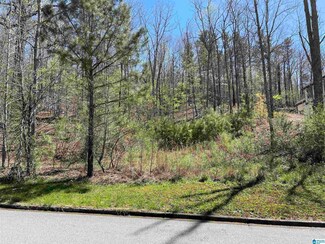244 Normandy Ln Unit 10, Chelsea, AL 35043