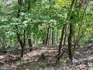 48 Highland Spring Rd, Old Fields, WV 26845