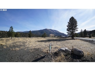 217 Elkview Dr, Canyon City, OR 97820