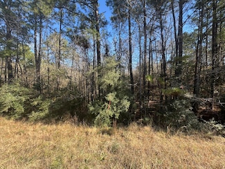 0 Louisiana 111, Deridder, LA 70634