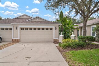 5851 Phoebenest Dr, Lithia, FL 33547