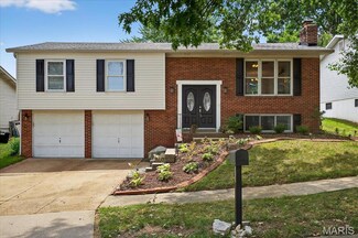 10708 Lisa Marie Ct, Saint Louis, MO 63123