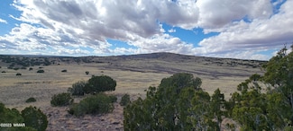 0 Cr N5337, Concho, AZ 85924