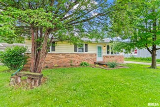 1248 N 3rd St Unit 1, Riverton, IL 62561
