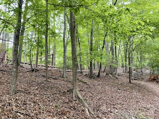 0 Granny Smith Ln Unit LOT  30, Lake Lure, NC 28746