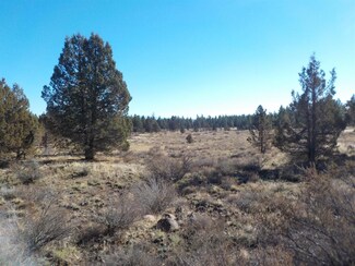 1737 Oregon Pines, Sprague River, OR 97639