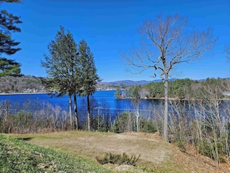 25 Red Fox Rd Unit 8, Bristol, NH 03222