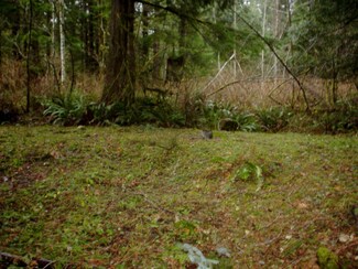 346 SE 268th Place, Ravensdale, WA 98051