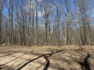 Lot 24&41 Swiss Apline, Reed City, MI 49677