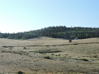 143 Lippzana Rd, Como, CO 80456