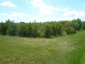 7184 Lake Rd, Appleton, NY 14008