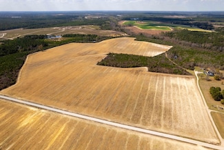 0 Devane's Farm Rd Unit 11461802, Harrells, NC 28444