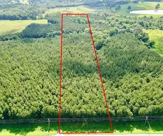 10 Us Hwy 231 S, Brundidge, AL 36010