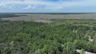 0 Georgia 99, Townsend, GA 31331