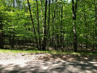 11914 Broken Arrow Ln Unit 238, Stanwood, MI 49346