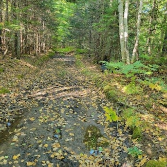 862 Hemore Rd, Ludlow, ME 04730