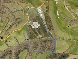42 acres Broadford Rd, Falmouth, KY 41040