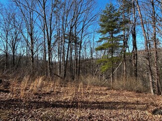 Lot 51 Hillcrest Estate, Peterstown, WV 24963
