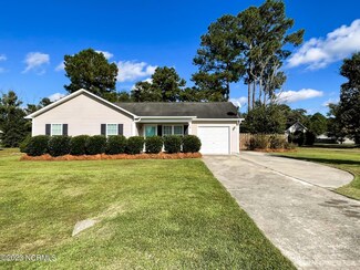165 Ashbury Park Ln, Richlands, NC 28574