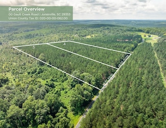 0 Gault Creek Rd, Jonesville, SC 29353