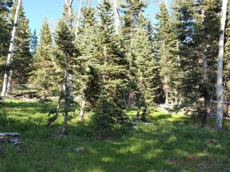 6020 W North Fork Rd, Duck Creek, UT 84762