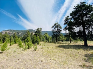 133 Canyon View Dr, Antonito, CO 81120