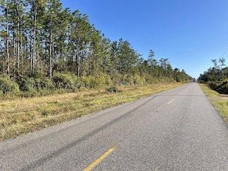 0 Dog River Rd Unit 11253525, Rochon, AL 36582