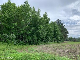 7109 Swamp Fox Hwy W, Tabor City, NC 28463