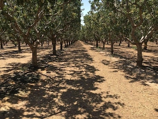 1300 Sebastian Rd, Arvin, CA 93203