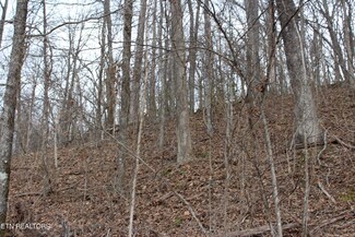 0 Jean Ave Unit 1253283, Jamestown, TN 38556
