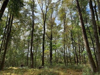 137.12 ac Yates Rd, West Point, GA 31833