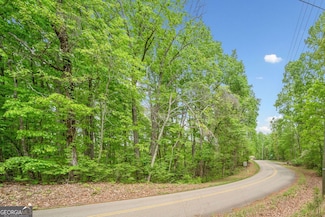 2022 Pleasant Union Rd, Canton, GA 30114